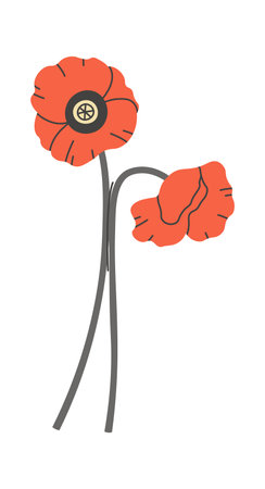Poppy wildflower illustrationのイラスト素材