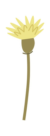 Wildflowers On Stemのイラスト素材