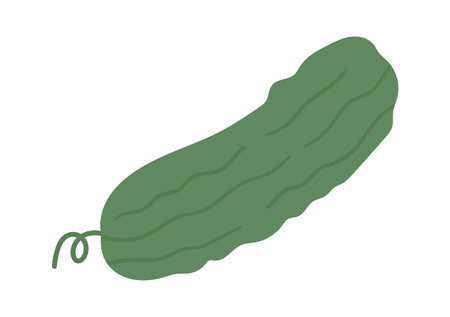 Cucumber Vegetable Iconのイラスト素材