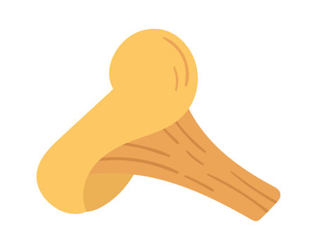 Chanterelle Mushroom Iconのイラスト素材