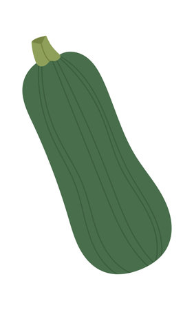Zucchini Vegetable Iconのイラスト素材