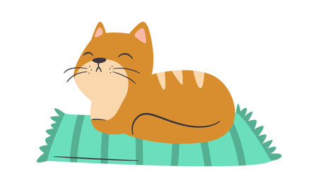 Cat Lying On Matのイラスト素材