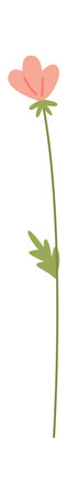 Wildflower On Stemのイラスト素材
