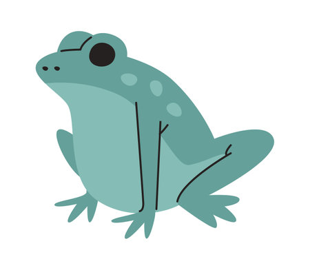 Sitting Frog Animalのイラスト素材