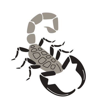 Scorpion Insect Illustrationのイラスト素材