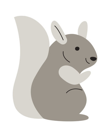 Chinchilla Rodent Animalのイラスト素材