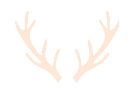 Deer Antler Illustrationのイラスト素材