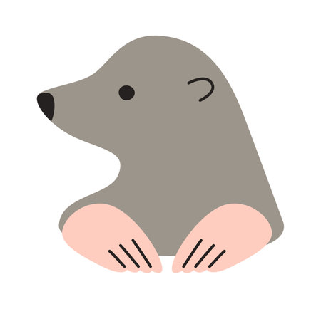 Mole Animal Illustrationのイラスト素材