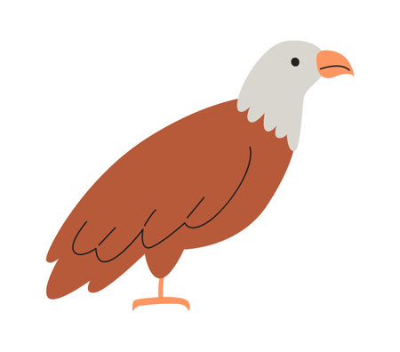 Eagle Predator Birdのイラスト素材