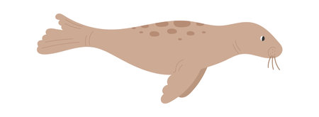 Walrus Animal Swimmingのイラスト素材