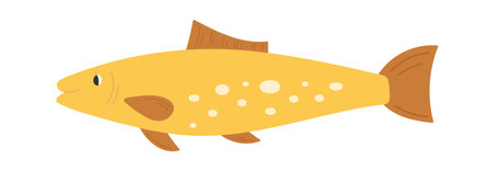 Sea Fish Illustrationのイラスト素材