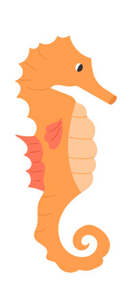 Seahorse Animal Illustrationのイラスト素材