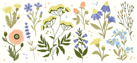 Wildflowers And Leaves Flat Illustrations Set. Spring Flowers Blossom. Cornflower, Poppy, Cloverのイラスト素材