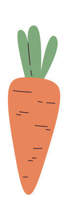 Carrot Vegetable Illustrationのイラスト素材