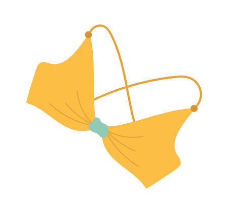 Swimsuit Bra Underwearのイラスト素材