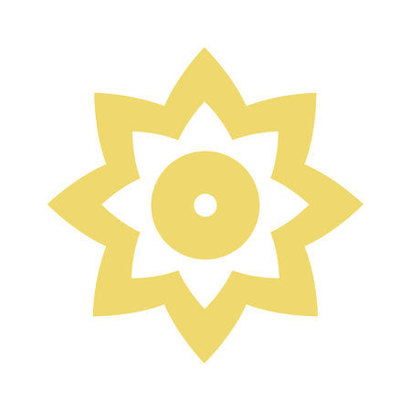 Geometric Round Star Figureのイラスト素材
