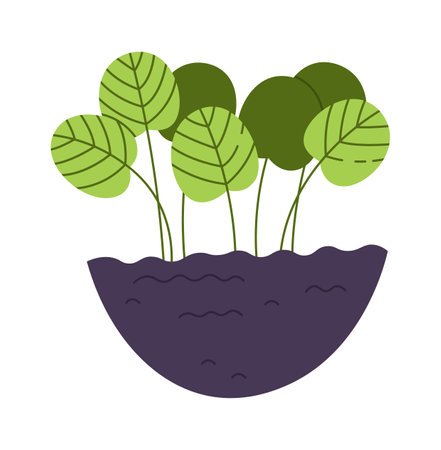 Sprouts In The Groundのイラスト素材