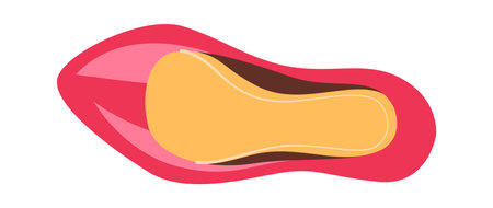 Women Heeled Shoeのイラスト素材
