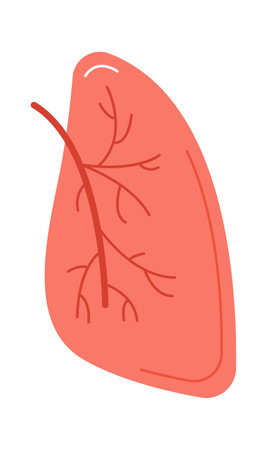 Lung Human Organのイラスト素材