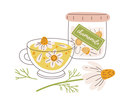 Chamomile Herbal Tea Compositionのイラスト素材
