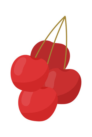 Cherry Berries Branchのイラスト素材