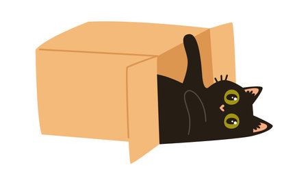 Cat Playing In Boxのイラスト素材