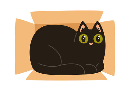 Cat Lying In Boxのイラスト素材