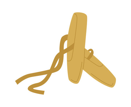 Pointe Shoes Accessoryのイラスト素材