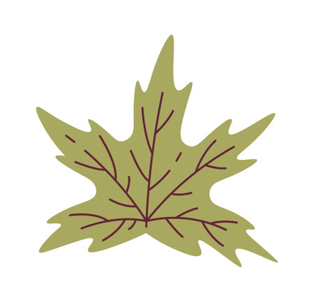 Maple Leaf Iconのイラスト素材