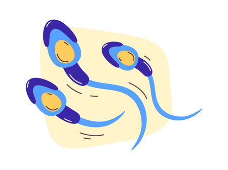 Male Sex Cellsのイラスト素材