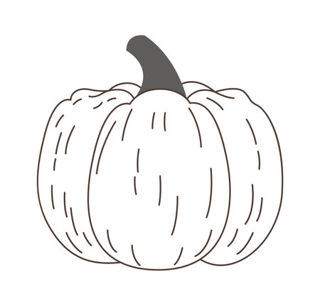 Linear Pumpkin Vegetableのイラスト素材