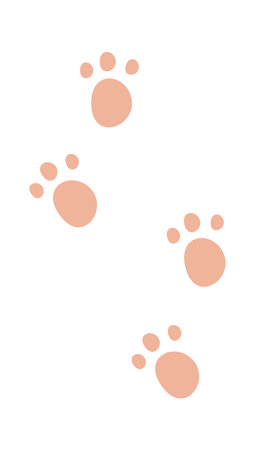 Animal Footprints Trackのイラスト素材