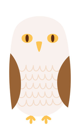Cartoon Owl Birdのイラスト素材