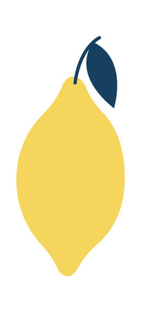 Lemon Citrus Fruitのイラスト素材