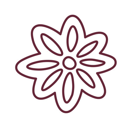 Spice Anise Flowerのイラスト素材