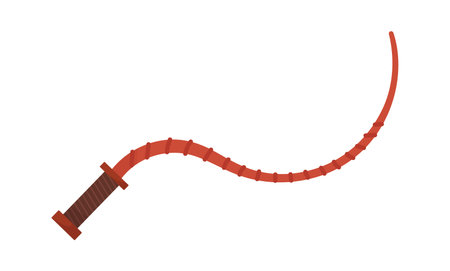 Leather Lash Horseのイラスト素材