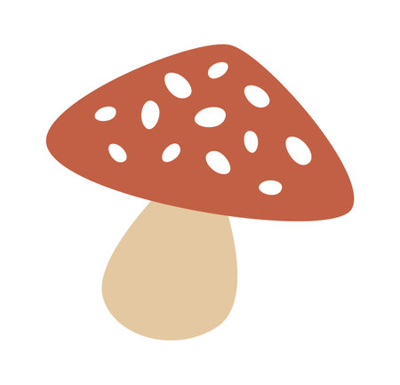 Fly Agaric Mushroomのイラスト素材