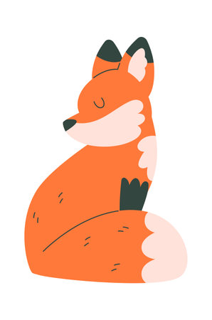 Sitting Fox Animalのイラスト素材