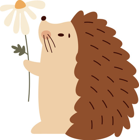 Hedgehog With Chamomileのイラスト素材