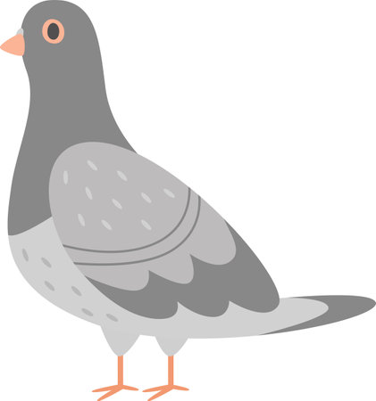 Pigeon Bird Standingのイラスト素材