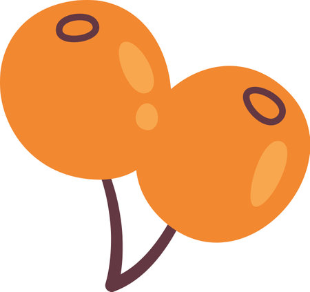 Sea Buckthorn Berriesのイラスト素材