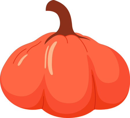 Pumpkin Vegetable Ripeのイラスト素材