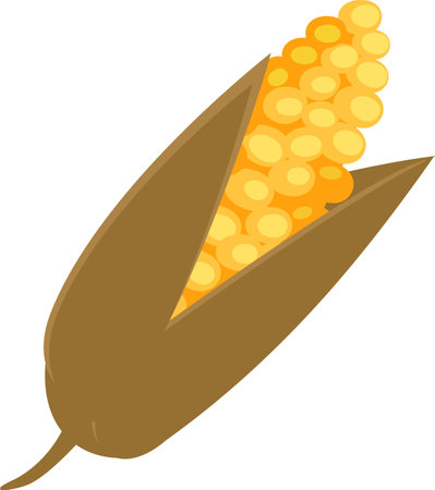 Ear Of Cornのイラスト素材
