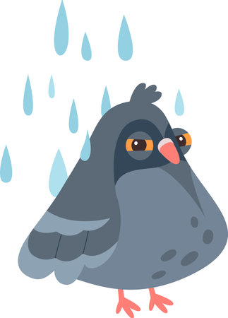Pigeon Character Under Rainのイラスト素材