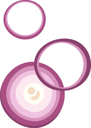 Onion Vegetable Sliceのイラスト素材