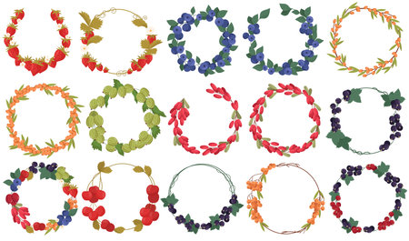 Berry round frame set, wreath decoration, plant border, natural branch circle vector elementのイラスト素材