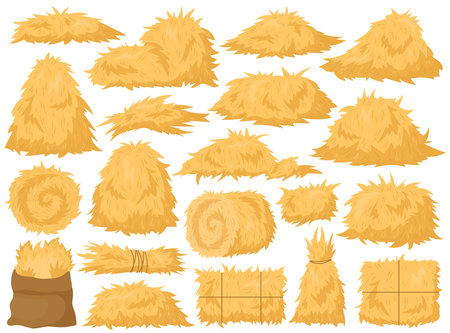 Dry farm haystack, bale, pile and heap stack, straw in rolls and sack bag isolated agricultural setのイラスト素材