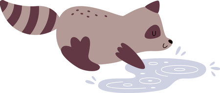 Raccoon With Puddleのイラスト素材