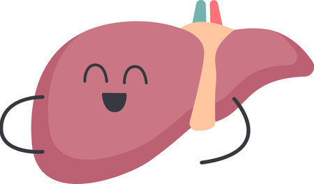 Liver Organ Characterのイラスト素材