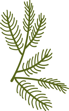 Coniferous Branch Iconのイラスト素材